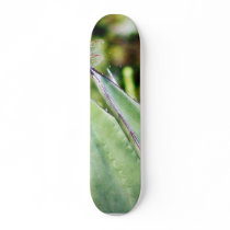 Dragonfly Dragonflies Cactuses Skate Boards