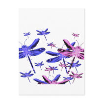 Dragonfly Dragonflies postcards by deleas Dragonfly Dragonflies postcards