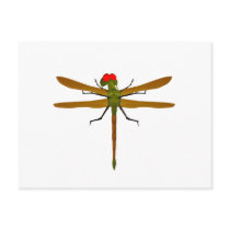 Dragonfly Dragonflies postcards by deleas Dragonfly Dragonflies postcards