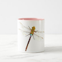 Dragonfly Dreams Mug