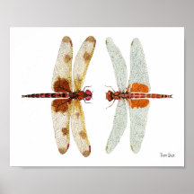 Dragonfly Face Off Print