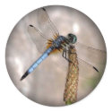 Dragonfly / Fade to Black Round Stickers by toots1 Dragonfly / Fade to Black Round Stickers