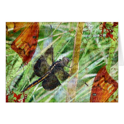 Dragonfly, Fly Away card