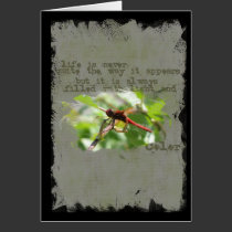 DragonFly Greeting Card cards