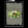 DragonFly Greeting Card