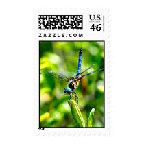 Dragonfly Handstand Postage Stamp