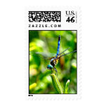 Dragonfly Handstand Postage Stamp