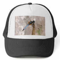 Dragonfly! Mesh Hats