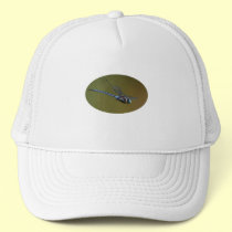 dragonfly hats