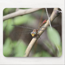 Dragonfly II Mousepad