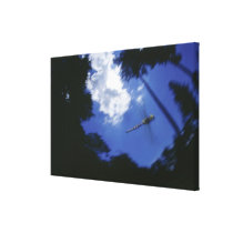 Dragonfly in flight, flapping wings stretched canvas prints