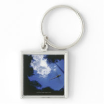 Dragonfly in flight, flapping wings key chains