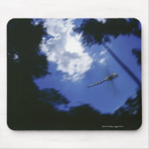 Dragonfly in flight, flapping wings mousepad