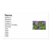Dragonfly in Lavender Garden Business Cards