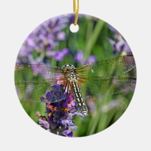 dragonfly in lavender garden double sided ceramic round dragonfly in lavender garden double sided ceramic round