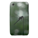 Dragonfly in Silhouette on Horsetail Rush Case-Mate iPhone 3 Cases
