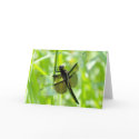 Dragonfly in the Garden cards by mlikvan Dragonfly in the Garden cards