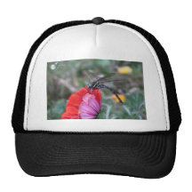 Dragonfly Insect Beautiful Flower Trucker Hat
