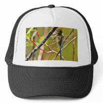 Dragonfly Insect hats