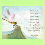 Dragonfly Inspiration photography