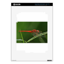 Dragonfly iPad 3 Decal
