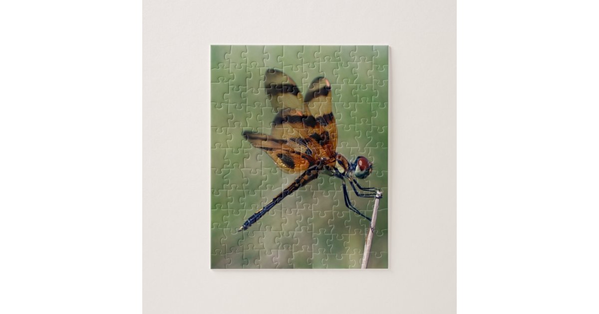Dragonfly Jigsaw Puzzle Zazzle