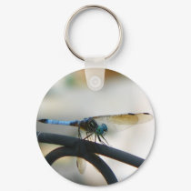 Dragonfly keychains