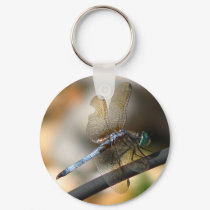 Dragonfly keychains