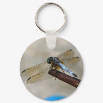 Dragonfly keychains