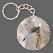 Dragonfly! keychains