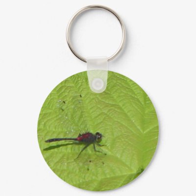 Dragonfly Keyring Keychains by TenLakesRealty