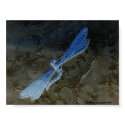 Dragonfly & Lace - Customized posters by Bohemian_Spirit Dragonfly & Lace - Customized posters