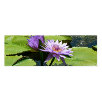 Dragonfly Lotus business cards