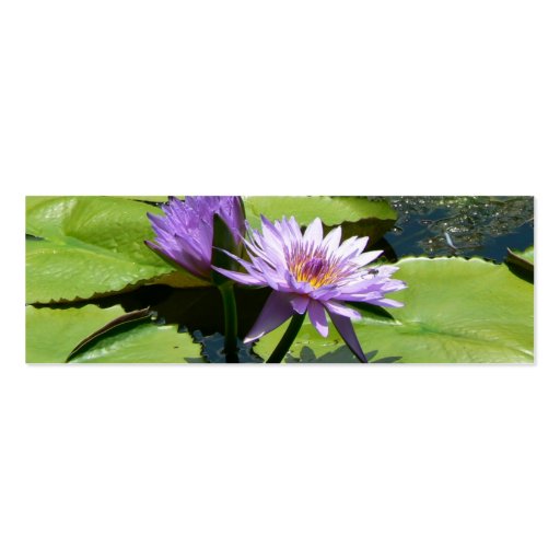 Dragonfly Lotus Business Card