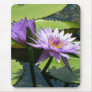 Dragonfly Lotus Mouse Pad