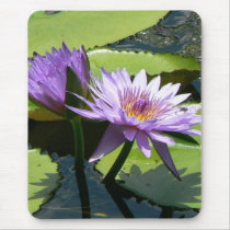 Dragonfly Lotus mousepads by codfishlady Dragonfly Lotus mousepads