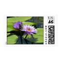 Dragonfly Lotus postage