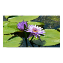 Dragonfly Lotus posters