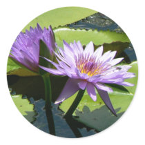 Dragonfly Lotus Stickers