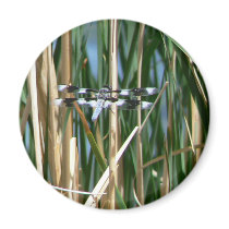 Dragonfly magnets by codfishlady Dragonfly magnets