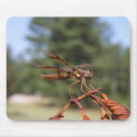 Dragonfly- Mousepad
