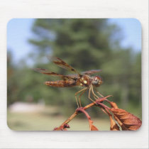 Dragonfly- Mousepad by sirenscastle Dragonfly- Mousepad