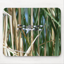 Dragonfly mousepads by codfishlady Dragonfly mousepads