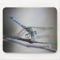Dragonfly Mousepad