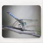 Dragonfly Mousepad
