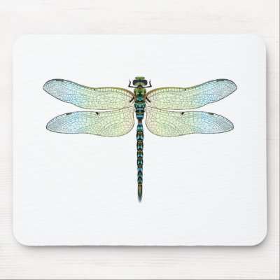 dragonfly mouse