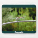 Dragonfly mousepads by Animal_Anticipation Dragonfly mousepads