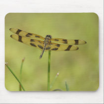 Dragonfly Mousepad mousepads