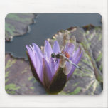 DragonFly mousepads