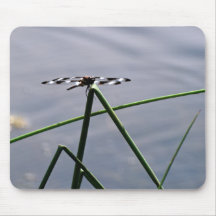 Dragonfly Mousepad